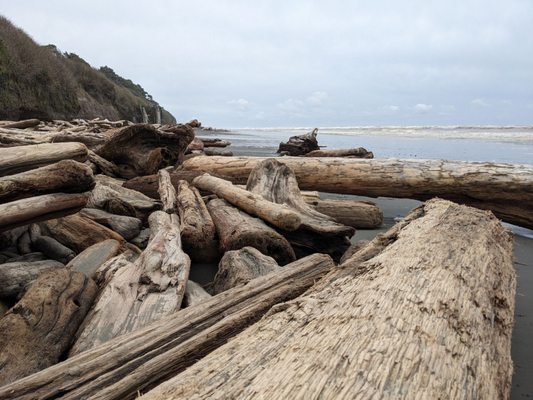 Kalaloch Lodge at Olympic National Park by null
