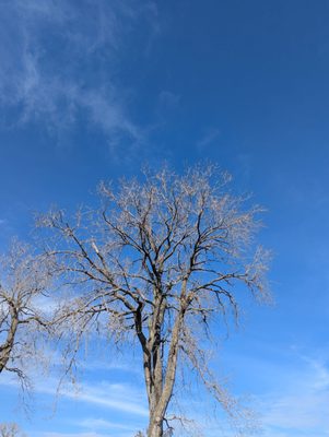 Bethany Lakes Park by null