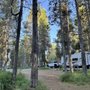 Photo of Yellowstone RV Park at Mack's Inn