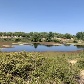 Central Community Park - Pond - Parks Near Me - Mountain House, California Central Community Park - Pond - Parks Near Me - Mountain House, California