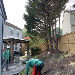 C&B Landscaping & Tree Service