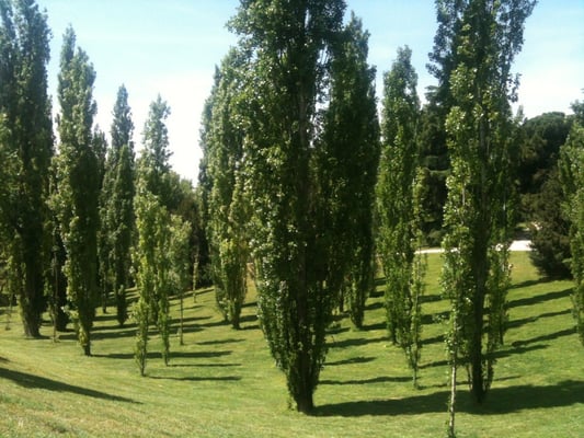 Parque del Oeste by null