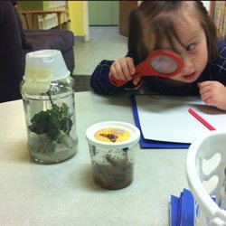 Friendly Flock Preschool