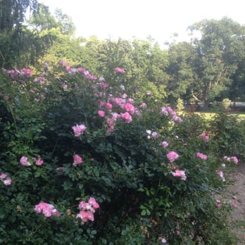 Brookdale Park - Parks Near Me