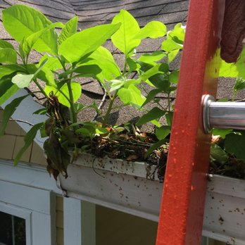 Washingtonian Companies - Gutters before - Roofing Near Me - Gaithersburg, Maryland Washingtonian Companies - Gutters before - Roofing Near Me - Gaithersburg, Maryland