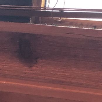 Texas Roadhouse - Bugs on the window sill - Steakhouses Near Me - Marysville, Ohio Texas Roadhouse - Bugs on the window sill - Steakhouses Near Me - Marysville, Ohio