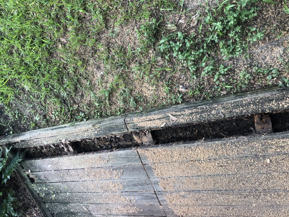 Slide of The Thrashers