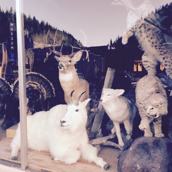 North Idaho Trading - Hey, which way to Snow White's place? - Antiques Near Me - Wallace, Idaho North Idaho Trading - Hey, which way to Snow White's place? - Antiques Near Me - Wallace, Idaho