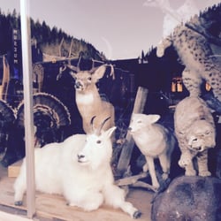 North Idaho Trading - Hey, which way to Snow White's place?
