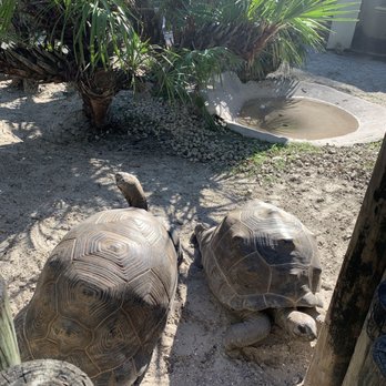 Gatorland - Zoos Near Me - Orlando, Florida