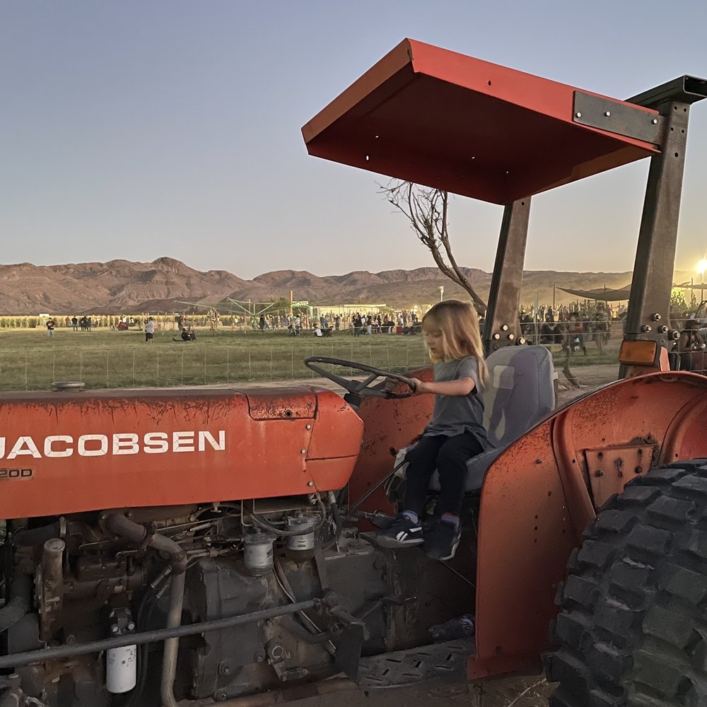 Moapa Valley Cornmaze - Tractors - Attraction Farms Near Me - Logandale, Nevada