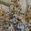 New York Botanical Garden Holiday Train Show gift card