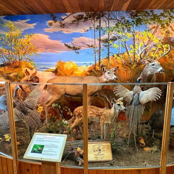 Sanderling Nature Center - Interior - Community Centers Near Me - Sheboygan, Wisconsin Sanderling Nature Center - Interior - Community Centers Near Me - Sheboygan, Wisconsin