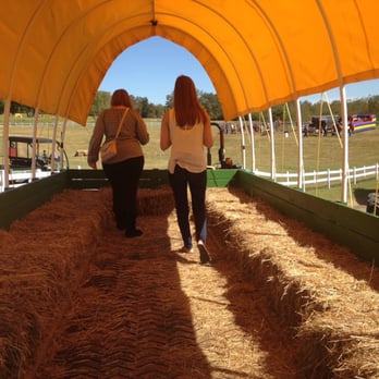 The Great Pumpkin Patch - Hay ride! - Arts & Crafts Near Me - Hayden, Alabama