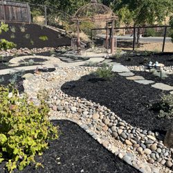 Blair Landscape Service - Drought tolerant landscape