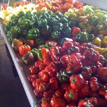Rottcamp Brothers Farm - Farmers Market Near Me - Glen Head, New York Rottcamp Brothers Farm - Farmers Market Near Me - Glen Head, New York