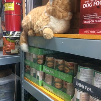 The Chow Hound - I thought it was real!!! - Pet Stores Near Me - Pearl City, Hawaii The Chow Hound - I thought it was real!!! - Pet Stores Near Me - Pearl City, Hawaii