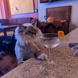 Good cocktail