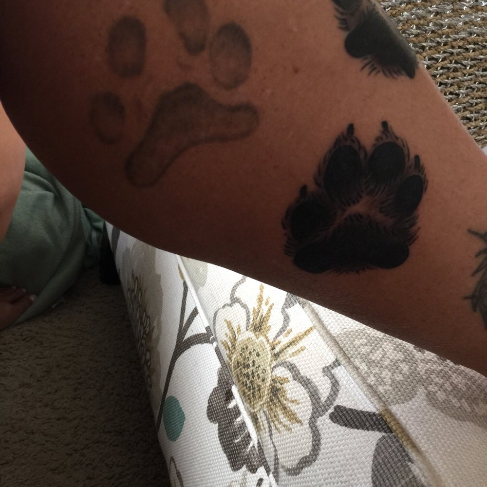 M Chinchilla did the faded paw on top (less than a yr ago) Chris at Urban Body is the detailed one below. M Chinchilla did the faded paw on top (less than a yr ago) Chris at Urban Body is the detailed one below.