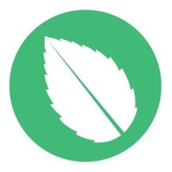 Mint Nutrition Clinic - Mint Nutrition Clinic