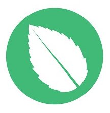 Mint Nutrition Clinic logo