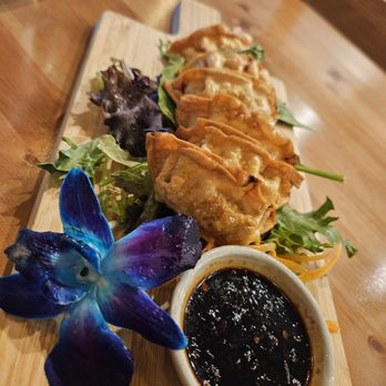 Koon Thai Restaurant - Fried dumplings - Thai Near Me - Orlando, Florida
