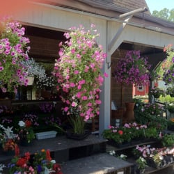 Main Street Flower