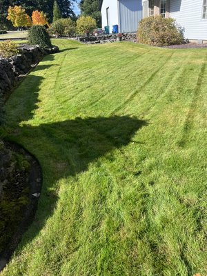 Sharp finish. - After clean up you will see the clean cuts extend to those difficult angles and curves. We want your lawn to look great in all areas.