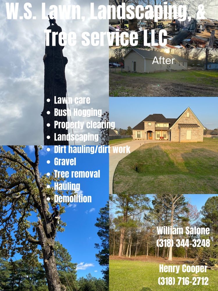 WS LAWN LANDSCAPING & TREE SERVICE Shreveport, Louisiana Tree