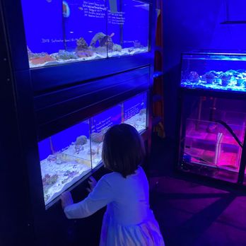 Caesars Tropical Fish - So many fish to see! - Local Fish Stores Near Me - Santa Rosa, California Caesars Tropical Fish - So many fish to see! - Local Fish Stores Near Me - Santa Rosa, California