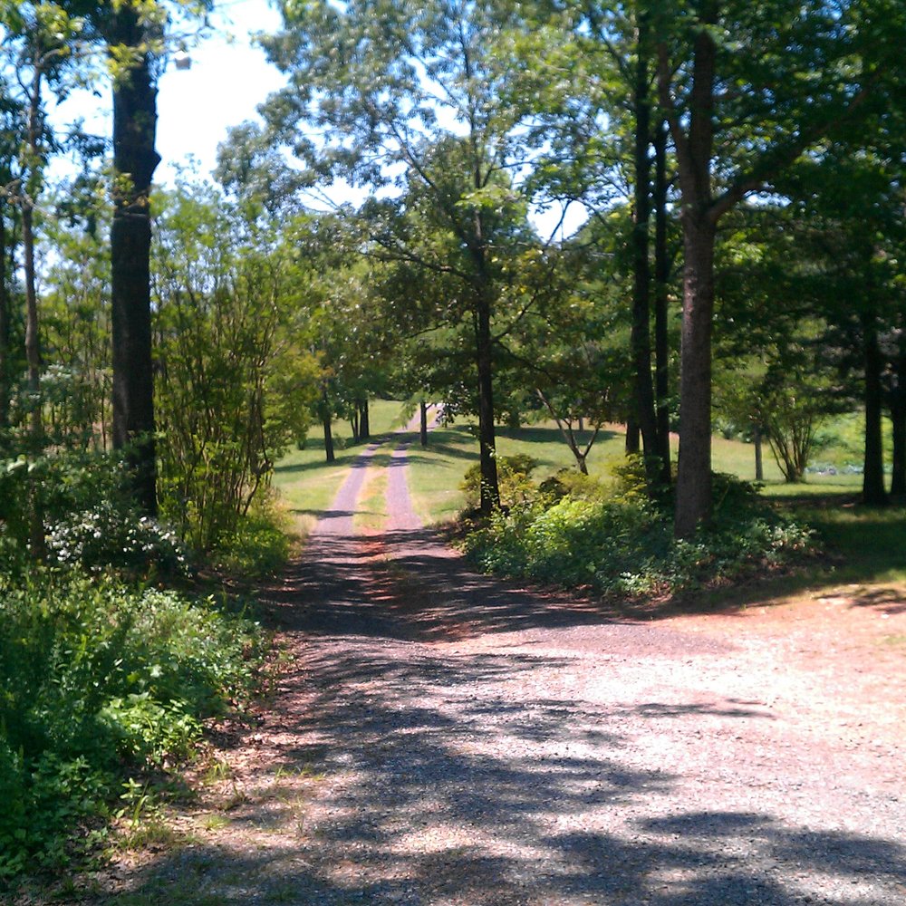 Rocky Retreat - Driveway and grounds - Bed & Breakfast Near Me - Pendleton, South Carolina Rocky Retreat - Driveway and grounds - Bed & Breakfast Near Me - Pendleton, South Carolina