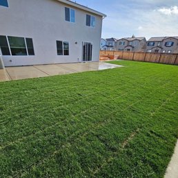 Finished backyard and sod Finished backyard and sod