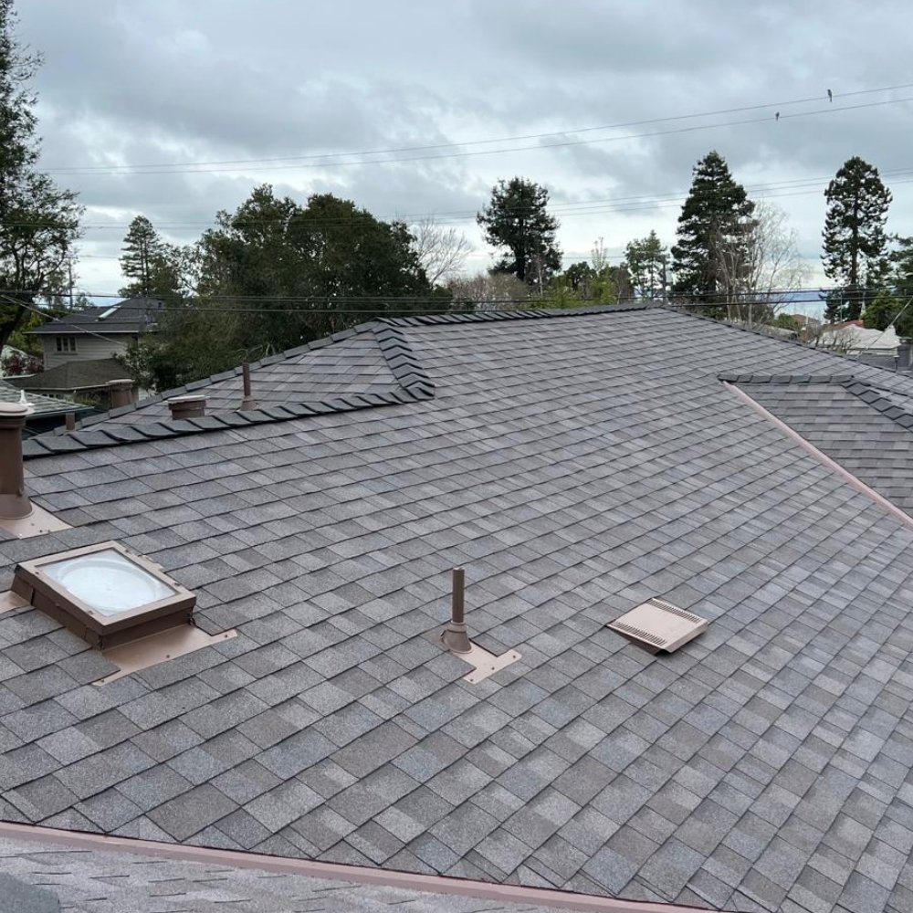 Slide of Marina Bay Roofing