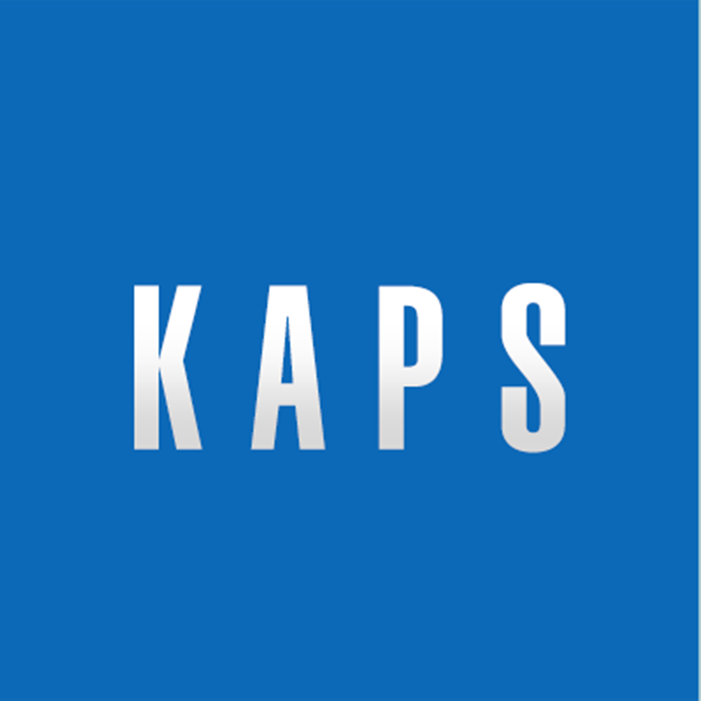 King Aviation and Pilot Shop Logo