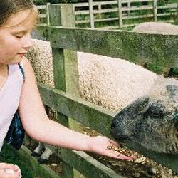 Newham Grange Leisure Farm