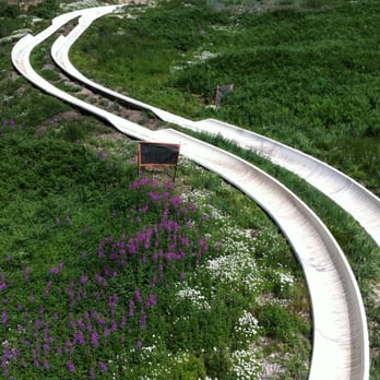 Snowbird - Ski Resorts Near Me - Snowbird, Utah