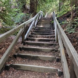Valley View Trail