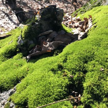 Blackledge Falls - Hiking Near Me - Glastonbury, Connecticut