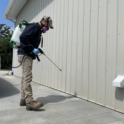 American Pest Management & Termite  - On the job.