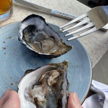 Poseidon on the Beach - Oyster - Seafood Near Me - Del Mar, California Poseidon on the Beach - Oyster - Seafood Near Me - Del Mar, California