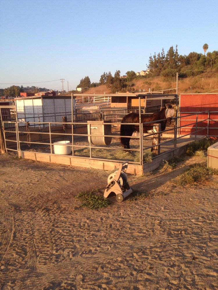 Canyonside Ranch - equestrian in San Diego, CA