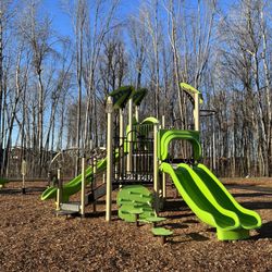 Whooping Crane Park - Lots of slides!
