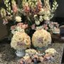Photo of A J's Flower Shop