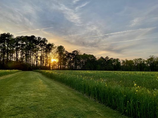 Inn at Huntingfield Creek and Getaway Cottages by null