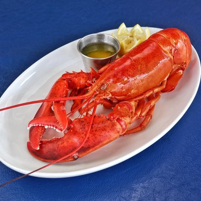 The Nauti Lobstah by null