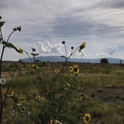 Ventana Ranch Park