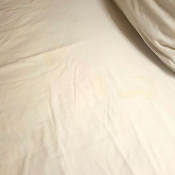Stay Beyond Inn & Suites - The yellow stains were worse in person - Hotels Near Me - Elma, Washington
