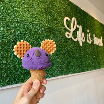 Eli's Ark - Ube/koala - Gelato Near Me - Chicago, Illinois