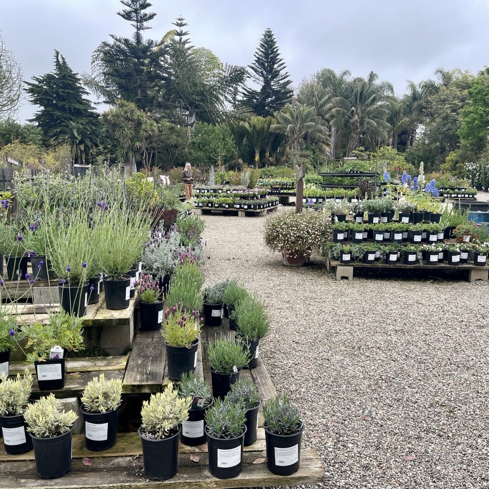 Seaside Gardens - Nursery - Nurseries & Gardening Near Me - Carpinteria, California