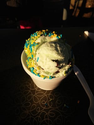 Lone Oak Ice Cream by null